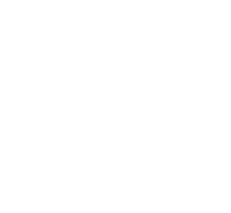 Prim Properties Logo